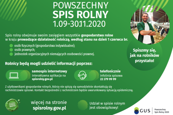 Grafika prezentująca najważniejsze informacje z tekstu informacji prasowej