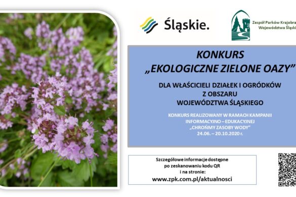 Plakat z kwiatami po lewej stronie i z tekstem po stronie prawej. Informacje w artykule